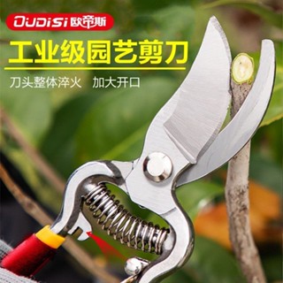 🔥臺灣熱賣🔥園藝剪刀強力果枝剪刀修剪花枝綠化竹子粗支家用長柄枝條剪園林剪
