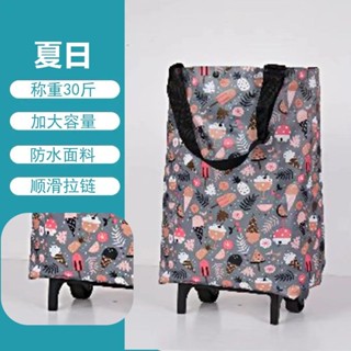 超市買菜小拉車便攜超市購物車老人輪子購物袋大容量家用買雜貨小推車可折疊便攜超市購物車oldQA