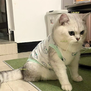 臺灣-熱銷 貓咪衣服春夏款傢居服狗狗背心防掉毛無袖寵物金漸層德文幼小奶貓