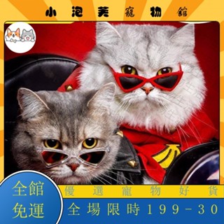 🔥爆款【公司貨】 寵物眼鏡狗狗墨鏡貓咪狗狗拍照道具三角墨鏡寵物配飾PUZ