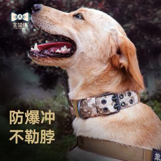可客製大型犬狗項圈戰術頸圈拉布拉多金毛中型犬寵物用品結實耐用狗脖圈
