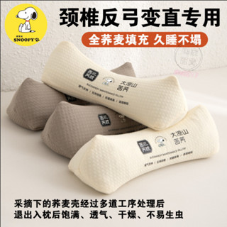 ⚡蝦皮精選直供#史努比三角頸椎枕頭成人護頸椎助睡眠矯正反弓變直專用全蕎麥脖枕