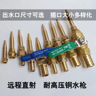 可調節耐高壓銅水槍頭 高壓水槍 家用洗車水槍頭 全銅直線水槍 高壓噴頭 豬圈沖洗噴槍 養豬場裝置家用噴槍 澆花噴頭