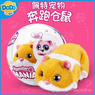 [DODO玩具] 限時優惠/zuru佩特寵物奔跑小倉鼠逗貓電動模擬寵物男孩兒童玩具生日禮物潮 2ENP
