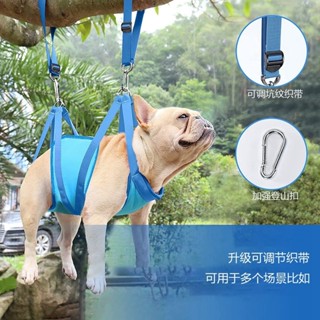 【汪喵Lucky補給倉】寵物美容吊床 掛式寵物固定器 狗狗貓咪修剪指甲吊帶 中小型犬免打孔 操作便捷