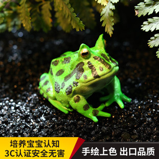 玩物院 實心兒童模擬動物玩具兩棲動物模型 角蛙招財蛙 蛙類認知禮品擺件
