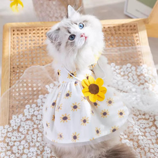 寵物衣服 狗狗衣服 貓咪衣服 寵物服飾 寵物洋裝 寵物親子裝 寵物公主裝 貓咪衣服夏天貓咪狗狗衣服春夏款寵物狗狗裙子