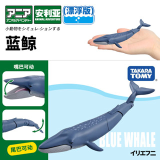 【925HOT】TOMYTOMICA安利亞海洋動物模型模擬漂浮版藍鯨兒童認知玩具299684合金壓鑄模型diecast