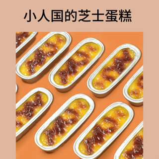 【有趣鴨】「限時折扣」迷你模擬擺件 榴蓮芝士食玩 diy樹脂 飾品配件 過家家玩具 配飾 mini食玩 小人國擺件