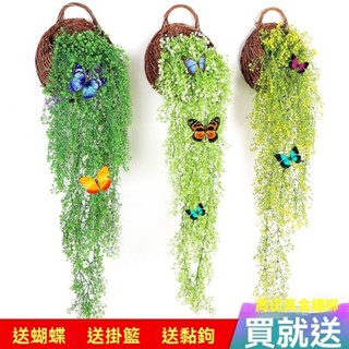 臺灣出貨💥免運💥模擬金鍾柳壁掛墻麵藤蔓室內假花藤條客廳裝飾掛壁塑膠弔蘭綠植物