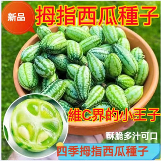 💥✔️【拇指西瓜種子】迷你小西瓜 水果種子 西瓜種籽 脆甜多汁 四季播種 陽臺庭院地栽盆栽種子 高產 維C水果 新手易種