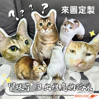 🔥惡搞抱枕 惡搞送禮 支援定製圖片製作 公仔 娃娃 貓貓狗狗 人物公仔定製 超醜無白邊抱枕 惡搞送朋友 家人小禮物抱枕