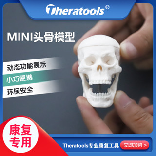 MD-G1 mini迷你頭骨人體骨骼模型動態可拆卸教具康復教學功能展示