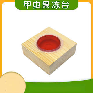 食盆甲蟲兜蟲單孔鍬大口蟲臺食物木獨角仙取食臺寬口果凍食器昆蟲