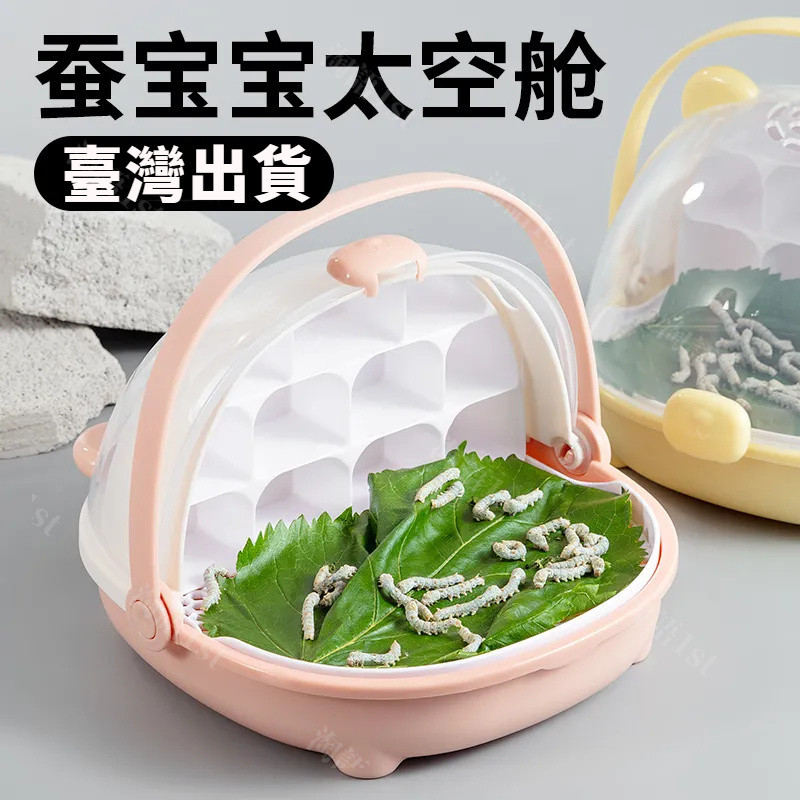 臺灣出貨  蠶寶寶養育艙 學生養蠶套裝 蠶卵幼蠶觀察飼養盒箱 送新鮮桑葉 太空艙