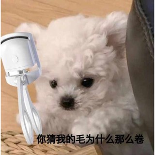 睫毛夾 區域性睫毛夾 捲翹神器 閃美shrmeil電熱燙睫毛夾捲翹器加熱燙卷新版5D推卷儀