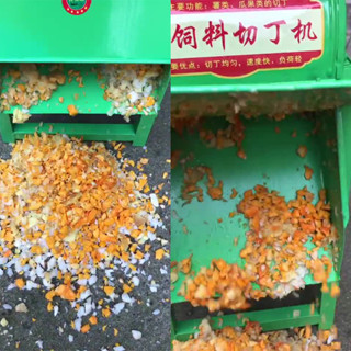 電動打顆粒碎丁機 家用小型切蘿蔔紅薯土豆地瓜番薯雞鴨養殖飼料機