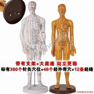 人體穴位針灸模型經絡穴位 人體穴位模型 銅人模型 穴位圖 人體模型 全身十二經絡桐人練習人偶--ninenine8799