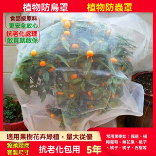 🔥臺灣出貨 植物防蟲網罩果樹防蟲放白粉蝨防鳥防曬網套蔬菜防果蠅套袋網紗網