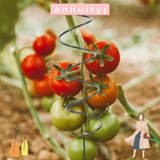 ANHUITYJ攀爬植物支架,固定桿爬藤架番茄螺旋樁,新建樁架盆景金屬螺旋番茄木樁花園