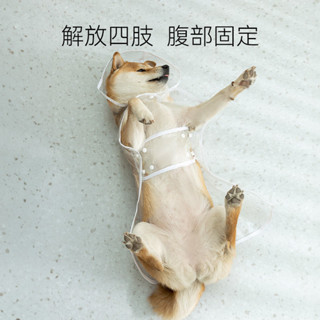 狗狗雨衣泰迪柴犬小型金毛中型雨披防水透明寵物柯基神器衣服雨天