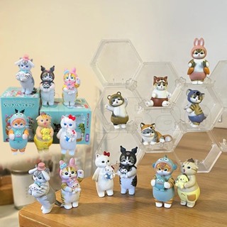 Mofusand鯊魚貓cos三麗鷗盲盒kuromi Cinnamoroll My Melody公仔玩具擺件兒童生日禮物現