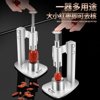 【臺灣發貨】新款304不鏽鋼紅棗去核器家用油柑櫻桃取核器臺式按壓式去核神器