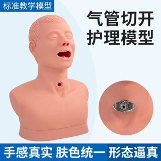 MD-B1611 高階成人氣管切開護理模型 教學模型 氣管模型人體護理H