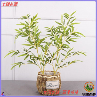 📜可開發票+免運費📢歐麗菲模擬竹葉植物 室內居家盆栽造景 裝飾櫥窗客廳模擬竹子