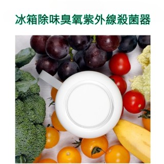 【臺灣實體店🎖️發票】冰箱除味臭氧紫外線殺菌器 冰箱除臭器 車用空氣淨化器 除菌器 消毒器 殺菌消毒 家用電器 母親節禮