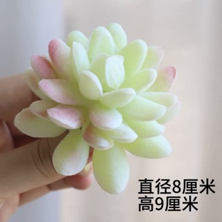 【臺灣出貨】熱銷【色彩鮮豔】模擬多肉植物盆栽 假花 可愛清新模擬綠植 仿真花 diy組合辦公桌擺件 裝飾品 小禮物
