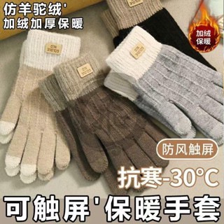 觸屏手套 冬季保暖手套女ins網紅款羊絨防寒保暖騎車通用 仿羊絨保暖手套 可愛百搭 防寒tongtong780207