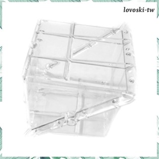 【LovoskiTW】方形西瓜生長模型成型整形工具實用花園獨特