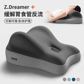 【50歲以上必備 送爸媽 送愛人 更貼心】躺枕 防胃反流 半躺 枕頭 墊高 靠背 靠枕 墊腿 腰靠 沙發枕 助孕枕
