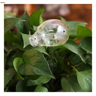 可愛的自動花卉澆水器玻璃自動澆水樁植物玻璃澆水器自動灌溉水球