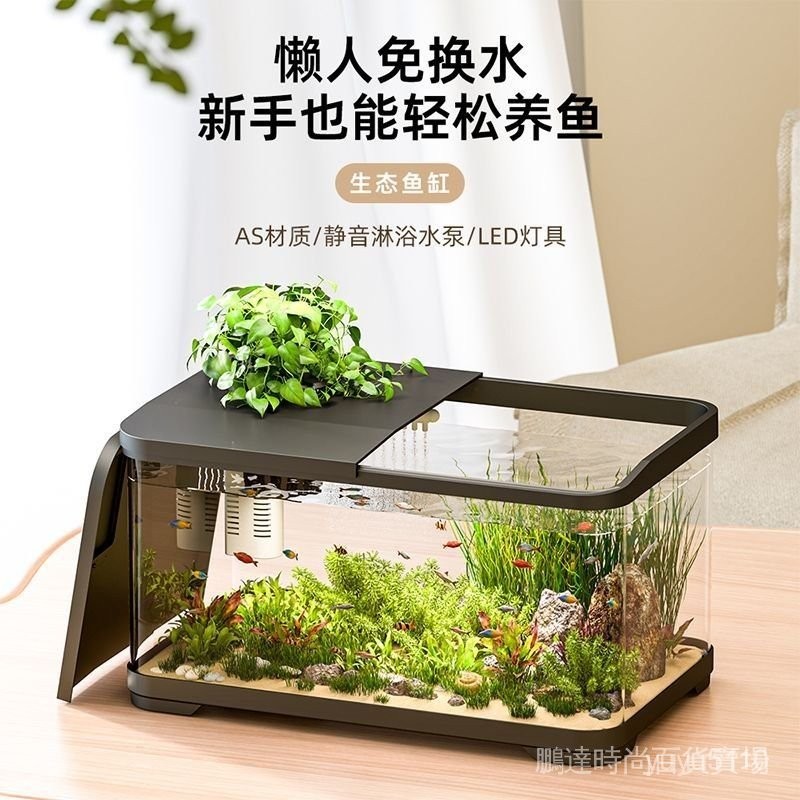 【免運】滿塘魚桌麵生態魚缸傢用中小型懶人免換水透明金魚缸自不爆缸 D3WK