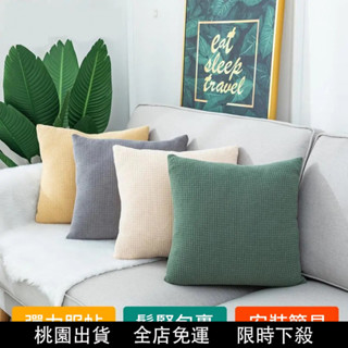 臺灣出貨🔥抱枕 抱枕套 枕心 抱枕心 可清水洗滌 枕芯 枕頭套 靠枕 枕頭 抱枕靠墊 汽車靠墊 沙發靠墊 床上靠墊