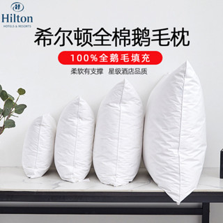 🔥免運🔥鵝毛羽絨抱枕芯內膽 方形羽毛靠枕芯酒店沙髮腰靠背靠墊芯 枕心 抱枕心 抱枕 枕頭 枕心 抱枕心 抱枕 枕頭