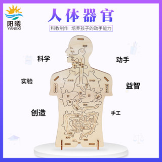 「卡卡模型」人體器官拼圖模型認知消化系統科技小製作內臟拼裝科學實驗教具