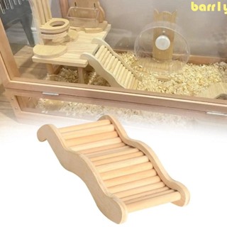 BARR1Y動物樓梯玩具,互動式多功能倉鼠爬梯,經久耐用創造力木製的籠子裝飾匝道橋松鼠