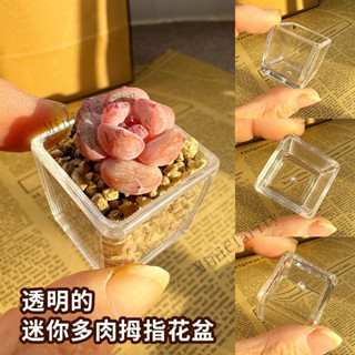 3cm方塊迷你多肉專用小花盆，高透明可觀察植物生長根莖，家居生活辦公室桌面陽臺塑膠花盆，DIY盆栽容器，底部可打孔，微景