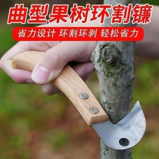 臺灣出貨│ 荔枝 環剝器 開甲刀 龍眼環割刀 果樹 葡萄 柑橘 蘋果 樹專用 環割刀 環剝刀 園藝工具