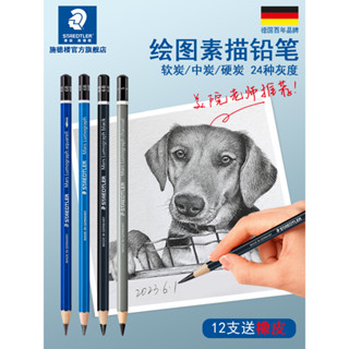 德國施德樓 100藍杆素描鉛筆套裝 繪畫碳筆 書寫繪圖素描2h6b8b12b炭筆 繪圖hb學生鉛筆 速寫鉛筆 藝考美術生