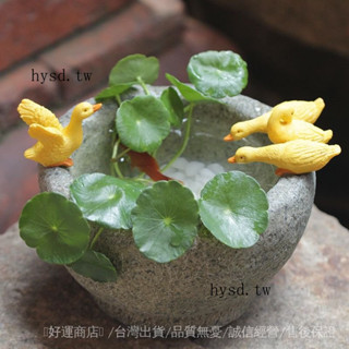 免運爆款🎇.創意銅錢草水培小鴨子花盆擺個性裝飾仿石臼多肉植物微景觀盆栽
