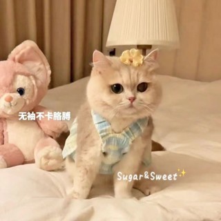 ━❤☆24H速髮熱賣現貨新品[清新吊帶裝]Ins風韓國寵物氣質連衣裙狗狗夏季吊帶背心泰迪比熊寵物衣服