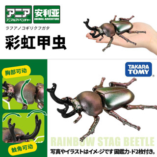 【925HOT】TOMYTOMICA安利亞模擬野生動物模型彩虹甲蟲昆蟲瓢蟲玩具男908531合金壓鑄模型diecast