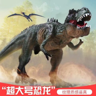 [1033次迴購]模擬霸王龍玩具恐龍玩具套餐兒童玩具三角龍手工上漆批髮地攤廣場 91HG