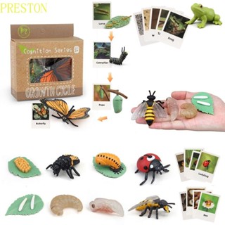 PRESTONWV動物生命週期兒童玩具孩子們兒童模型玩具生活認知生物學動作人物蝴蝶生長週期模擬工廠模型