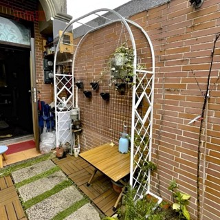 含發票 撐花支架 鐵線蓮爬藤架 加厚20MM方管拱門爬藤花架 藤本月季薔薇攀爬架子 戶外庭院葡萄架子