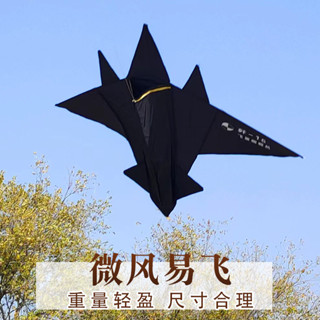 ✨風箏大全飛機風箏殲十五風箏成人兒童卡通黑鷹戰鬥機高檔大型25.05.21